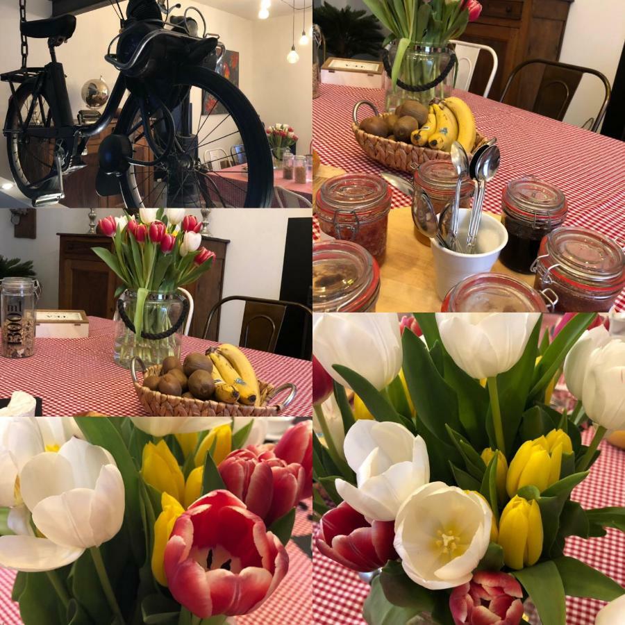 B&B - Le Jardin Du Palais Carcassonne Dış mekan fotoğraf